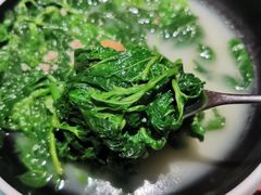 -羽鸽集·乳鸽专门店·地道顺德菜(岭南站店)