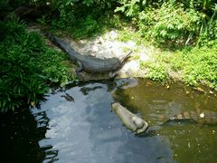 android_upload_pic-河川生态园