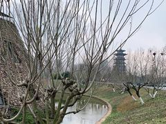 -洋湖国家湿地公园
