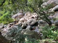 -崂山九水游览区