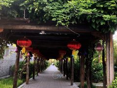 -有喜胶东小馆(超极合生汇太申祥和店)