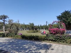 -万绿园