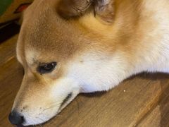 -天地無用GAME BAR