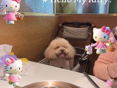 -烹然四季椰子鸡火锅(姚家园万象汇店)