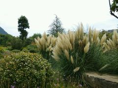 -贵阳市花溪国家城市湿地公园