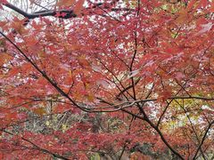 -幕燕滨江·燕子矶公园