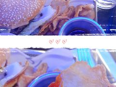 -bluefrog蓝蛙(皇庭广场店)
