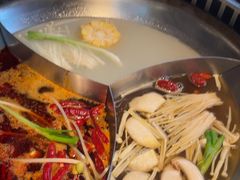 -辣伍鲜毛肚老火锅(元一店)