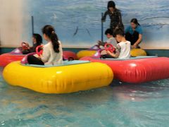 -蒙特利亲子乐园