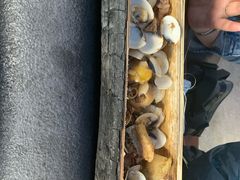 -竹泉农庄·竹筒饭(从化店)