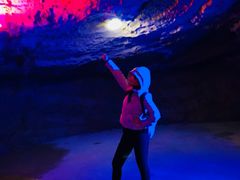 -梦幻奥陶纪景区