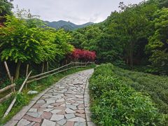 -北仑森林植物园