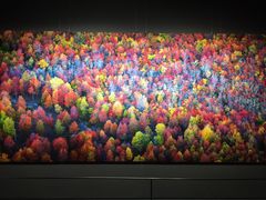 -罗红摄影艺术馆