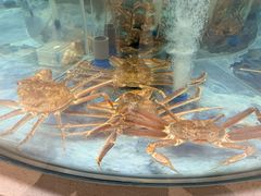 -海底捞大排档火锅(打浦路店)