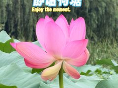 -前关湿地公园