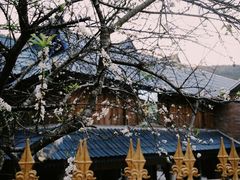 -曼丢傣家古寨