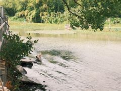 -东钱湖旅游度假区