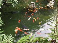 -国恩寺