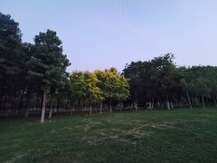 -洨河生态公园