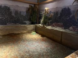 -造物庄园 萌宠纪(苏州湾歌林公园店)