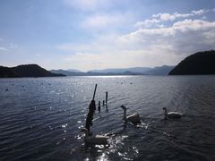 -泸沽湖里格半岛