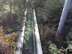-富斯特索道