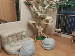 -唐小姐の私宠·宠物洗护美容·撸猫馆·购宠(周浦万达旗舰店)