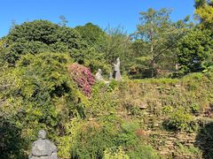 -广州神农草堂中医药博物馆