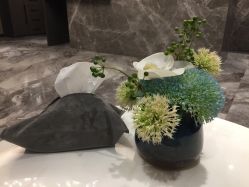 -香榭丽舍·海菲秀·皮肤管理痘敏肌修护