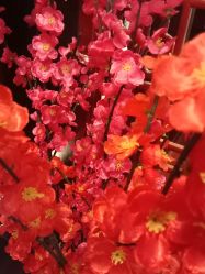 点击看大图 -苗医生草本科技祛痘
