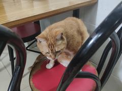 -牛佬牛杂汤(金花直街店)