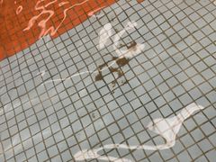 -南宫温泉水世界