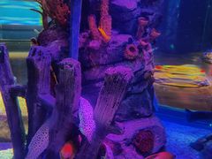 -沈阳海洋探索中心