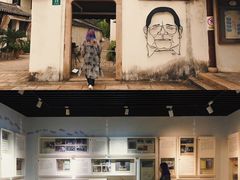 -金山农民画村-枫泾波兰倒置屋