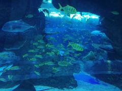 -成都浩海立方海洋公园