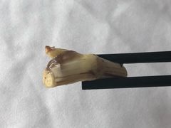 -巴陵全鱼席(湖南老字号汴河街店 )