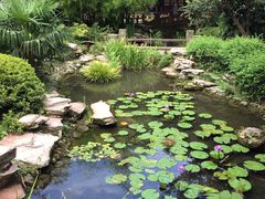 景点-望江楼公园