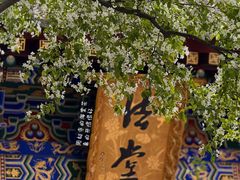 -罔极寺
