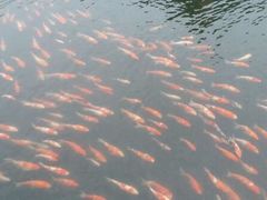 -长春市南湖公园