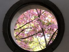 -北固山景区