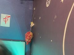 -剧狐剧本杀(徐汇1号店)