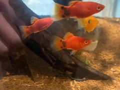 -东棠花园餐厅(湖工大店)