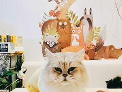-小时光咖啡馆(北锣鼓巷店)