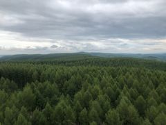 -塞罕坝国家级自然保护区