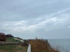-养马岛旅游度假区