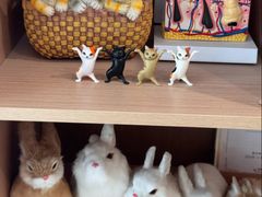 -美迦爱-牙专科·兔科·骨科诊疗中心(北苑店)