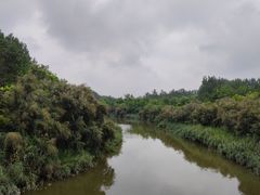 -塘沽森林公园