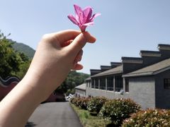 -句容茅山景区