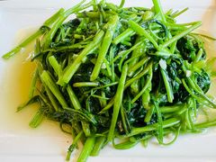 清炒空心菜-乐在集市海鲜大排档(平潭店)
