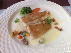 -麦茜哥牛扒城(中银店)